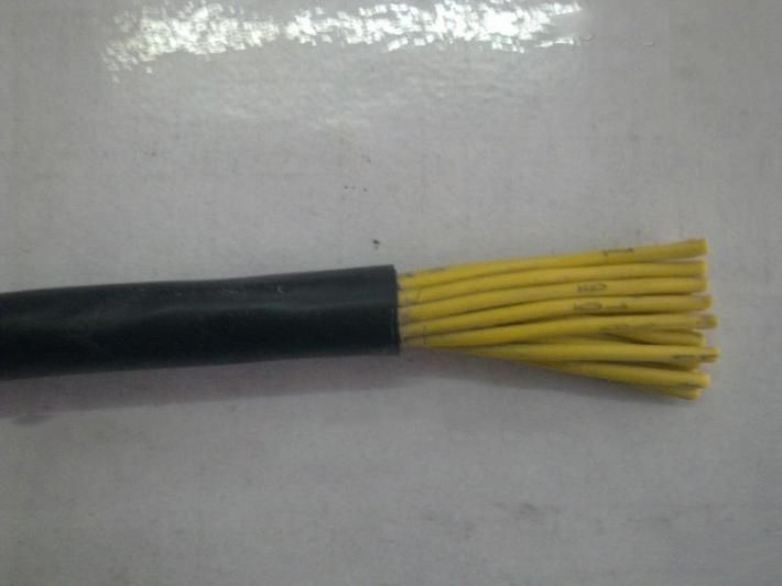 防蚁鼠清洁环保电缆